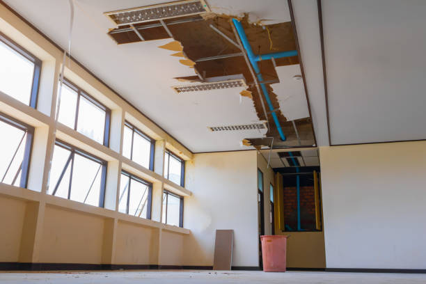 Best Flood restoration services  in Leesburg, FL