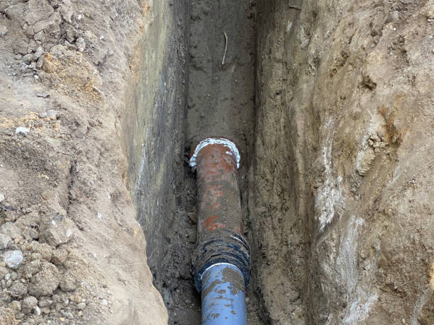 Best Basement water damage restoration  in Leesburg, FL