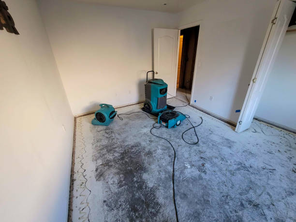 Best Water damage restoration near me  in Leesburg, FL