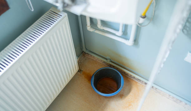 Best Sewage cleanup and water damage restoration  in Leesburg, FL