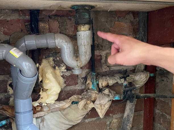 Best Flood restoration services  in Leesburg, FL