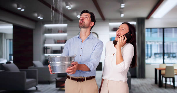Best Local water damage restoration  in Leesburg, FL