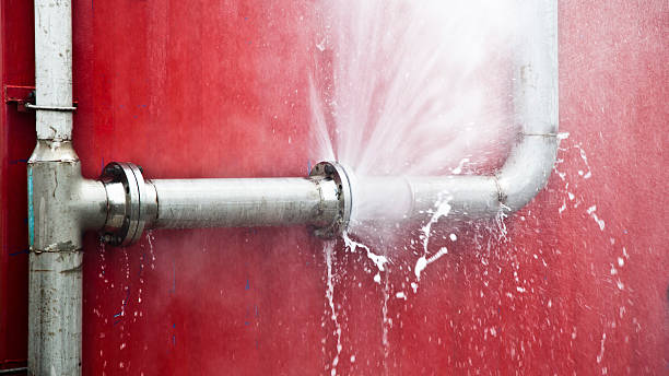 Best Ceiling water damage repair  in Leesburg, FL