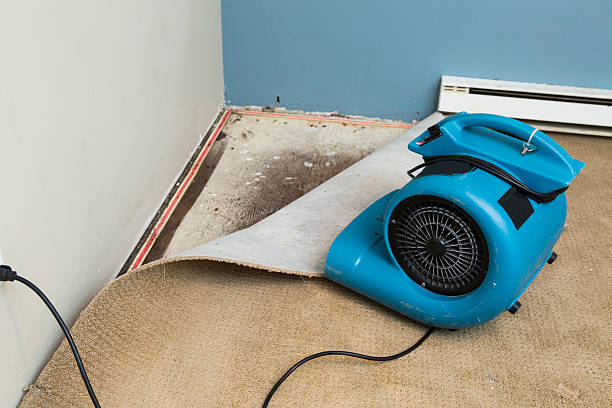 Best Water damage contractors near me  in Leesburg, FL